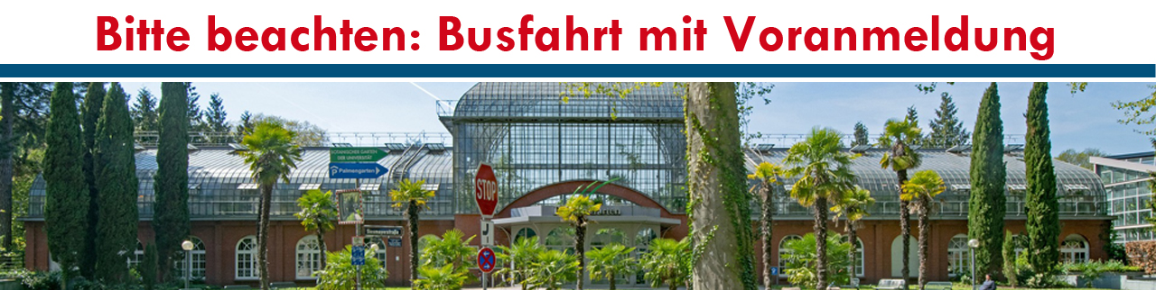 Busfahrt zum Frankfurter Palmengarten